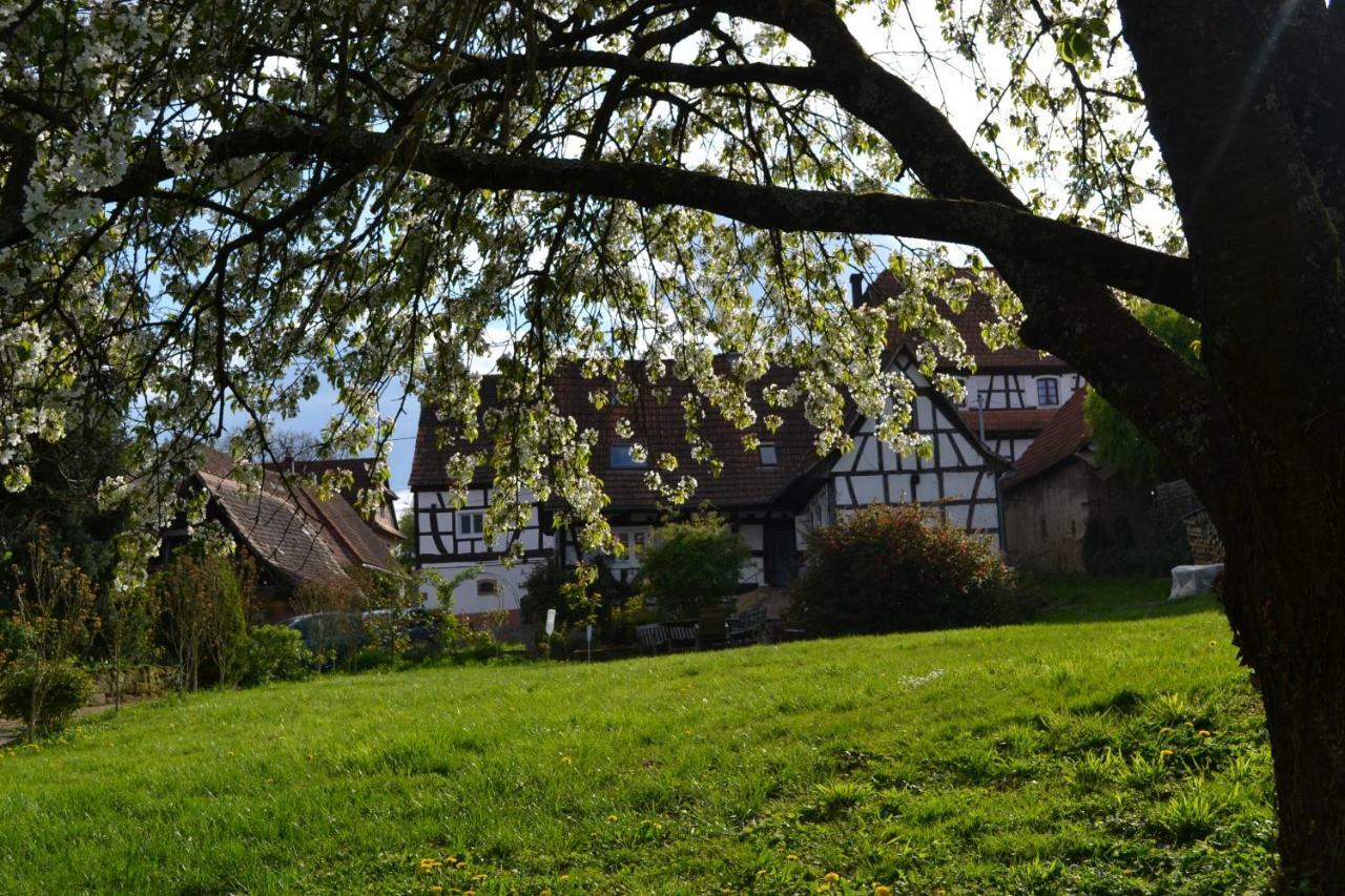 Ferienidyll Cleebourg Villa Kültér fotó