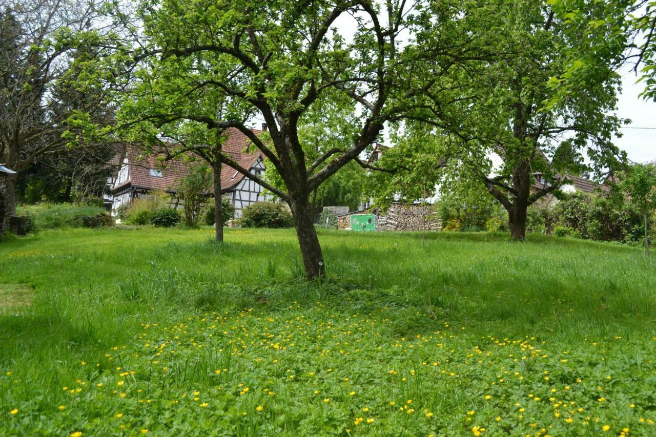 Ferienidyll Cleebourg Villa Kültér fotó